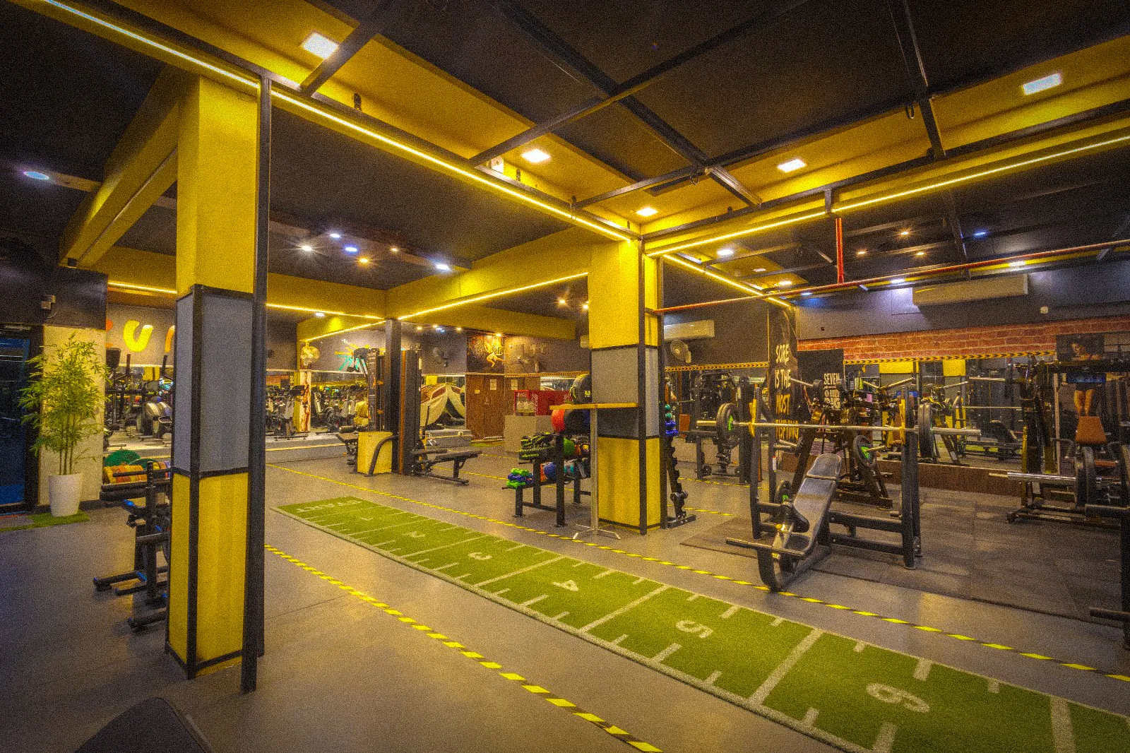 Performance Zone