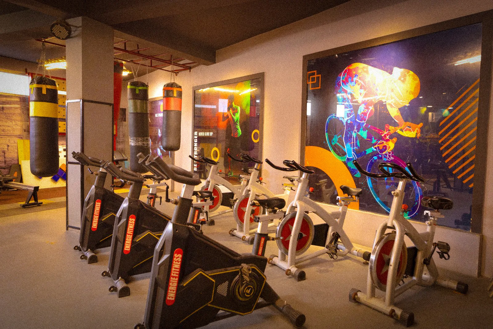 Cardio Section