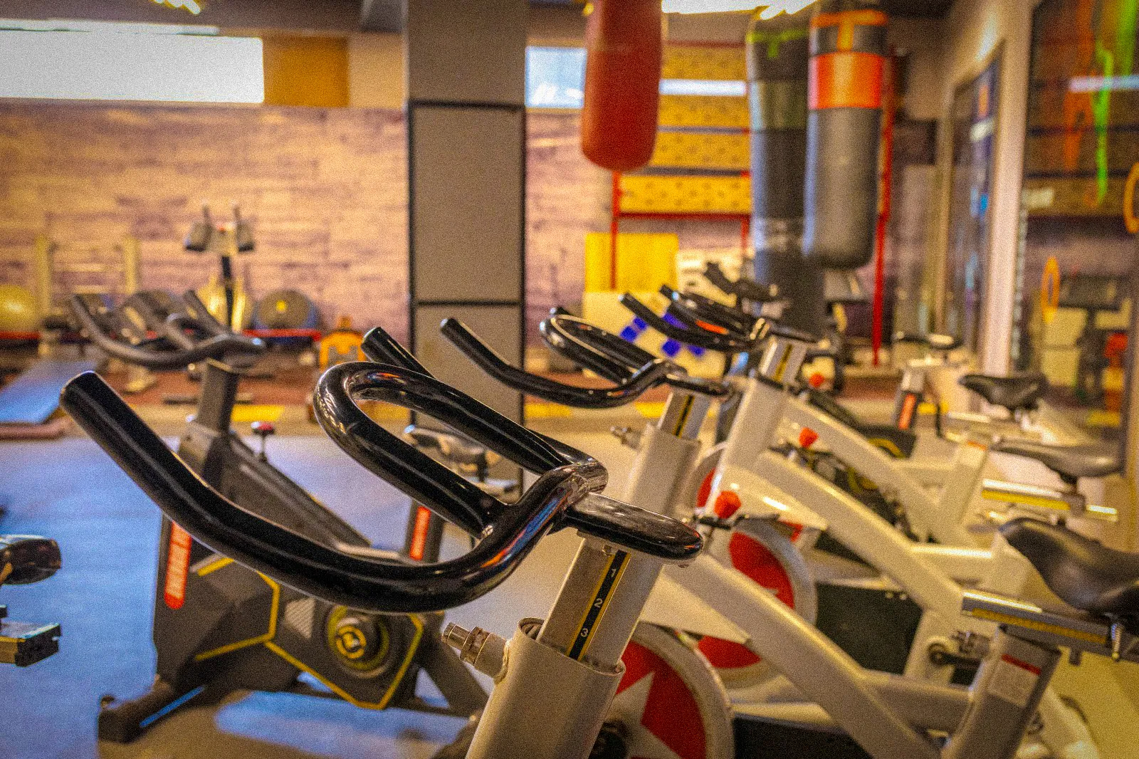 Cardio Training